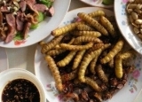 豆虫怎么吃  豆虫的4种做法