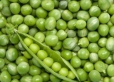 夏日炎热没食欲？推荐绿豆汤新吃法消暑
