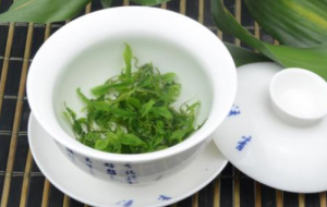 遇水复活的茶叶叫什么 小叶苦丁茶的功效