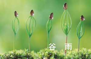 谷雨节气气候特点 2018谷雨的天气怎样