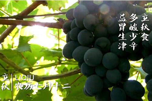 立秋后如何保养好脾胃?请多吃这6种食物(2)