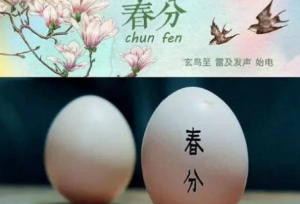 春分吃什么好 春分养生注意什么