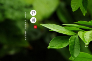 谷雨节气雨多吗 谷雨下雨有什么说法