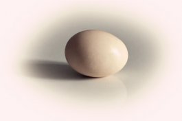 三伏天怎么养生 上班族三伏天养生知识