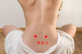 男人补肾又壮腰 轻轻拍打这些地方