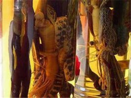 药酒养生配方 告诉你几种药酒配方