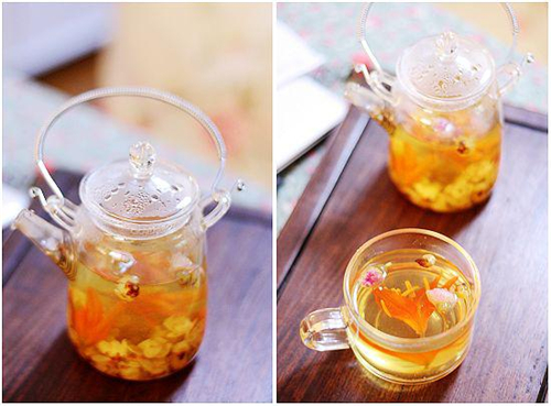 玉兰花茶需适量饮用 春季喝什么花茶比较好