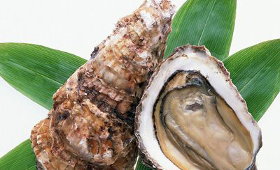 季进补时应该多吃鱼、虾、牡蛎和韭菜等食品