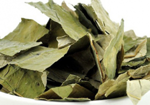 荷叶茶怎么喝才减肥 喝荷叶茶减肥的注意事项