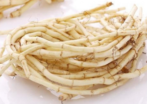 鱼腥草不能和什么一起吃