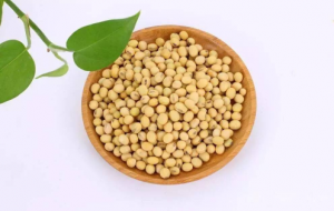 黄豆可以放多久 放久的黄豆还能吃吗