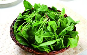 海带和菠菜能一起吃吗 海带和菠菜怎么做好