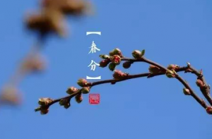 春分可以种花生吗 花生的最佳种植时间