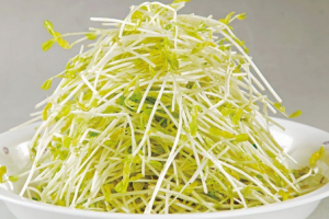 吃绿豆芽减肥吗 绿豆芽怎么吃减肥
