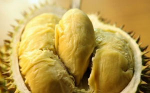 太熟的榴莲能吃吗 榴莲肉烂了是什么样子