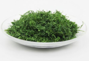 绞股蓝的功效与作用 绞股蓝丹参山楂茶