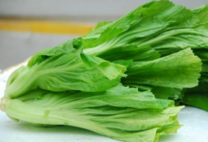 橄榄菜长得什么样子 新鲜橄榄菜长什么样子