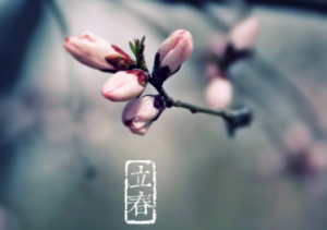 北方立春吃什么 南方和北方在饮食区别