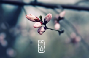 立春钓深水还是浅水好 立春钓鱼水深多少合适