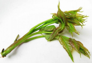 香椿芽的最佳食用时间 常见香椿的做法