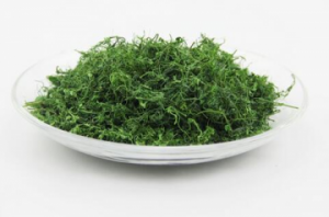 喝绞股蓝茶有什么好处 绞股蓝茶可以天天喝吗