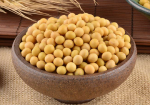 黄豆和黑豆哪个含雌激素高