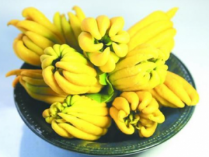 佛手柑是什么味道 佛手柑好吃吗