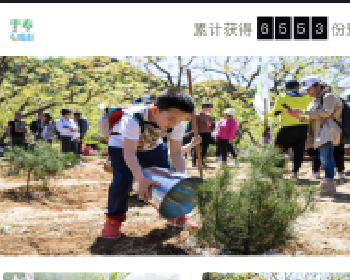 微擎微赞通用模块:全民公益 8.4.3 商用新版 原版功能模块下载