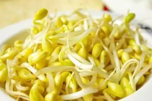 怎样发黄豆芽？家庭自发黄豆芽的诀窍