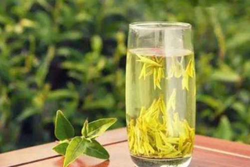 夏天适合喝什么茶？这几款茶提神醒脑 美容减肥
