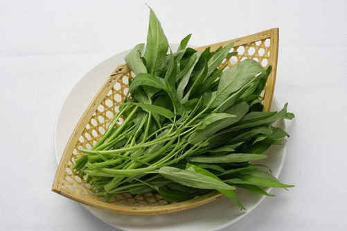 空心菜种植方法与养护注意事项