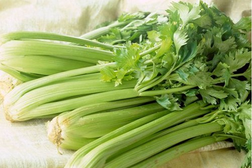 芹菜种子怎么种，芹菜的功效除了食用还能明目降压