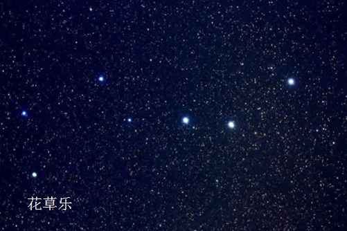 天上紫薇星，地下紫薇花-紫薇的花语与民间传说