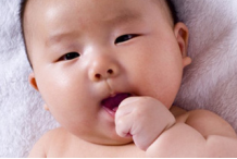 婴儿吃手的原因大家都知道吗