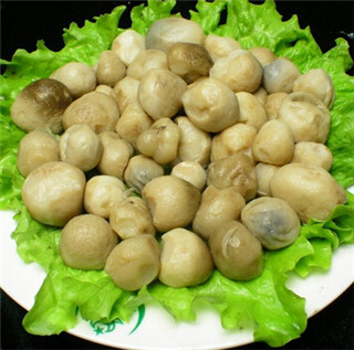 草菇