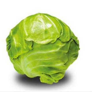 卷心菜