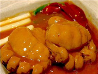 熊掌