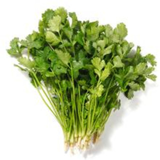 香菜