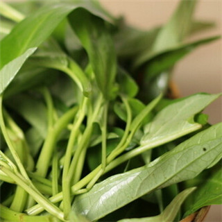 竹叶菜