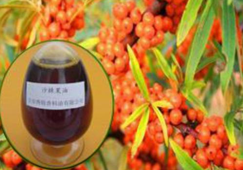 沙棘果油的食用禁忌 多少钱一瓶