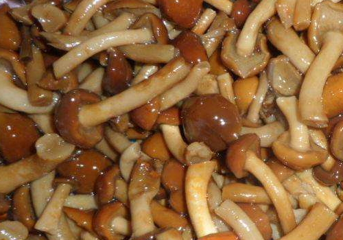 滑子菇炒土豆片怎么做 炒肉怎么做