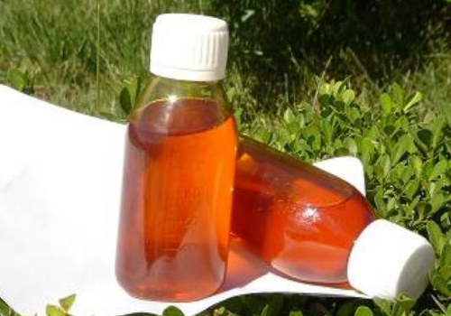 沙棘果油的食用价值 可以减肥吗
