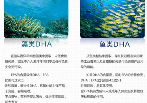 Bio Island佰澳朗德海藻油DHA如何吃 和鱼油DHA区别
