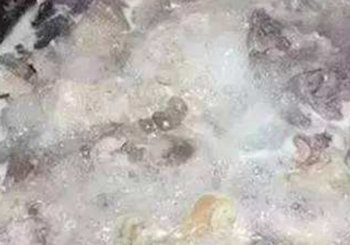 煮肉时的泡沫是什么 怎么办
