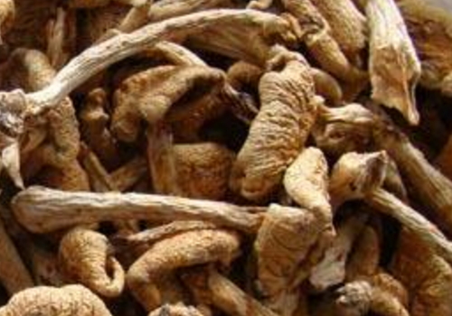 干滑子菇多少钱一斤 怎么做好吃