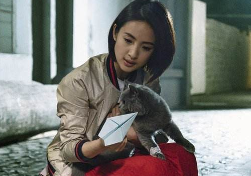 老男孩林依晨发型发色是什么 同款四六偏分短直发怎么护发