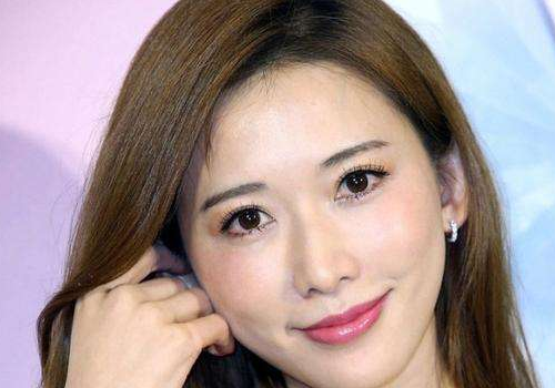 林志玲发型图片大全 板栗色长直发够女神