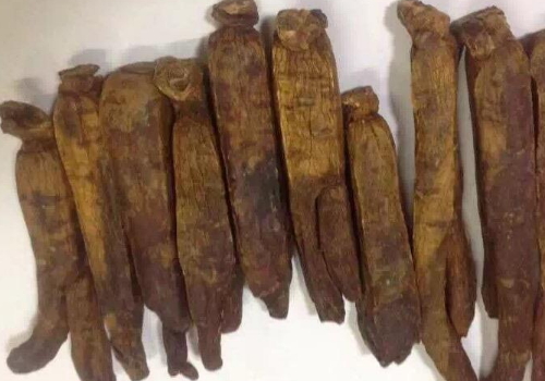 高丽参能多吃吗一次吃多少 什么人不能吃