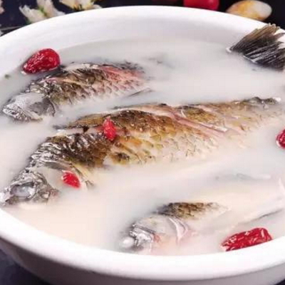 鲫鱼汤可以放牛奶吗 牛奶鲫鱼汤的做法