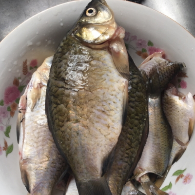 鲫鱼汤怎么去腥味 熬多长时间最好